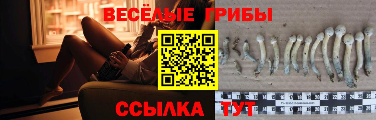 Псилоцибиновые грибы Psilocybe  Псилоцибиновые грибы MAGIC MUSHROOMS  Вход с VPN  Ачинск 